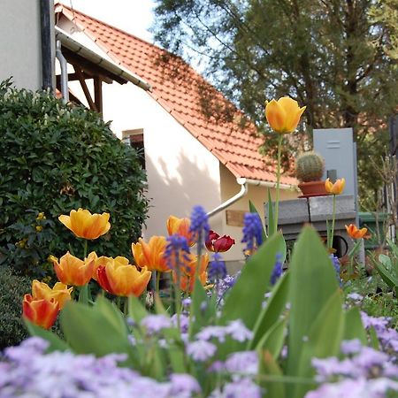 Maya Guesthouse Eger Exterior foto