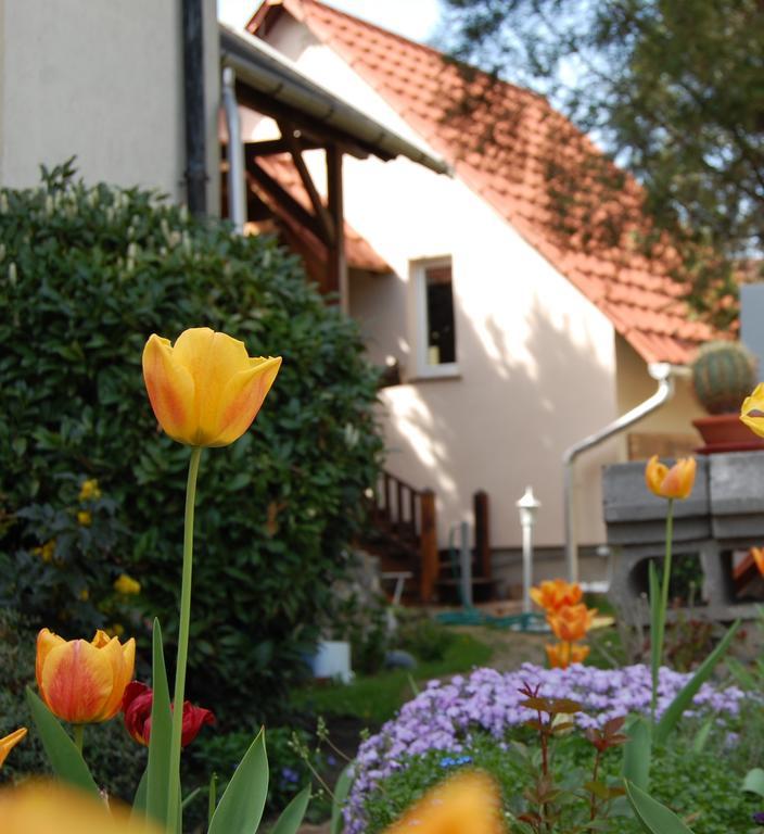 Maya Guesthouse Eger Exterior foto